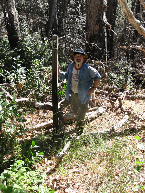 Later Little Pines Camp