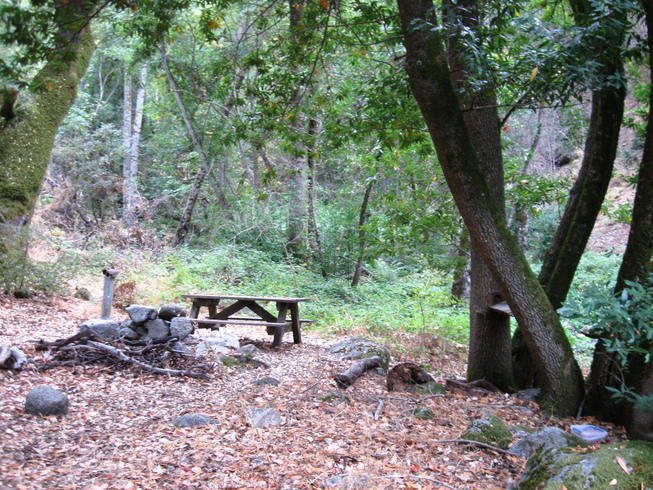Rattlesnake Camp environs