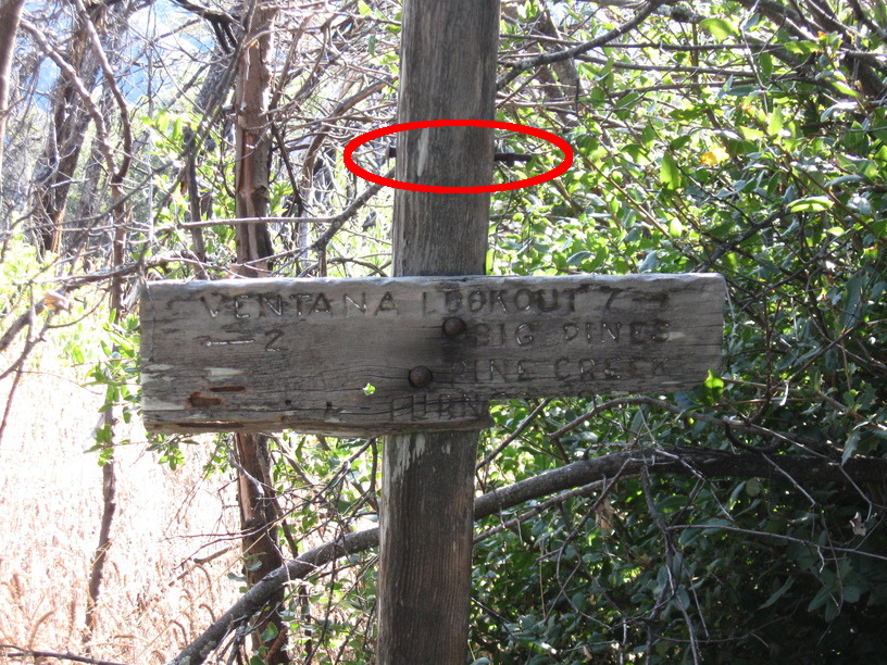Unburnt sign - with bolt from lost trail signboard