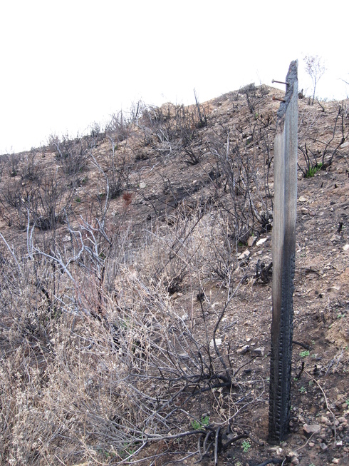 Burnt sign post