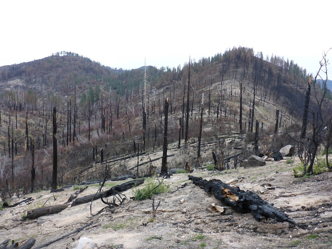 An ugly landscape - ridgeline to Pat Spring